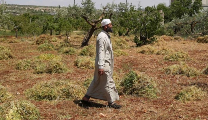 الأرض المحروقة.. كيف دمر عقد من الحرب الأراضي الزراعية&nbsp;السورية؟